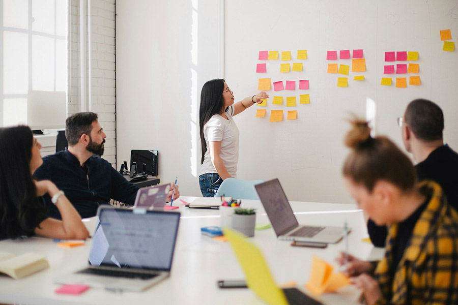 Business Management and Marketing degree