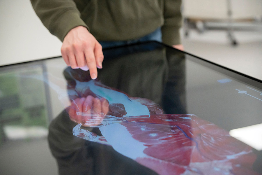 A person using a touchscreen table displaying a detailed anatomical image.