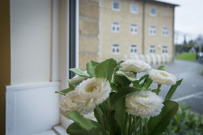 View from the window in Graham halls bedroom