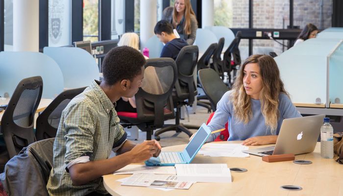 Students studying in the library