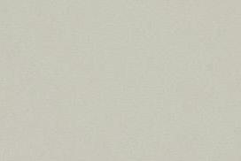 Professional Doctorate in Business Administration