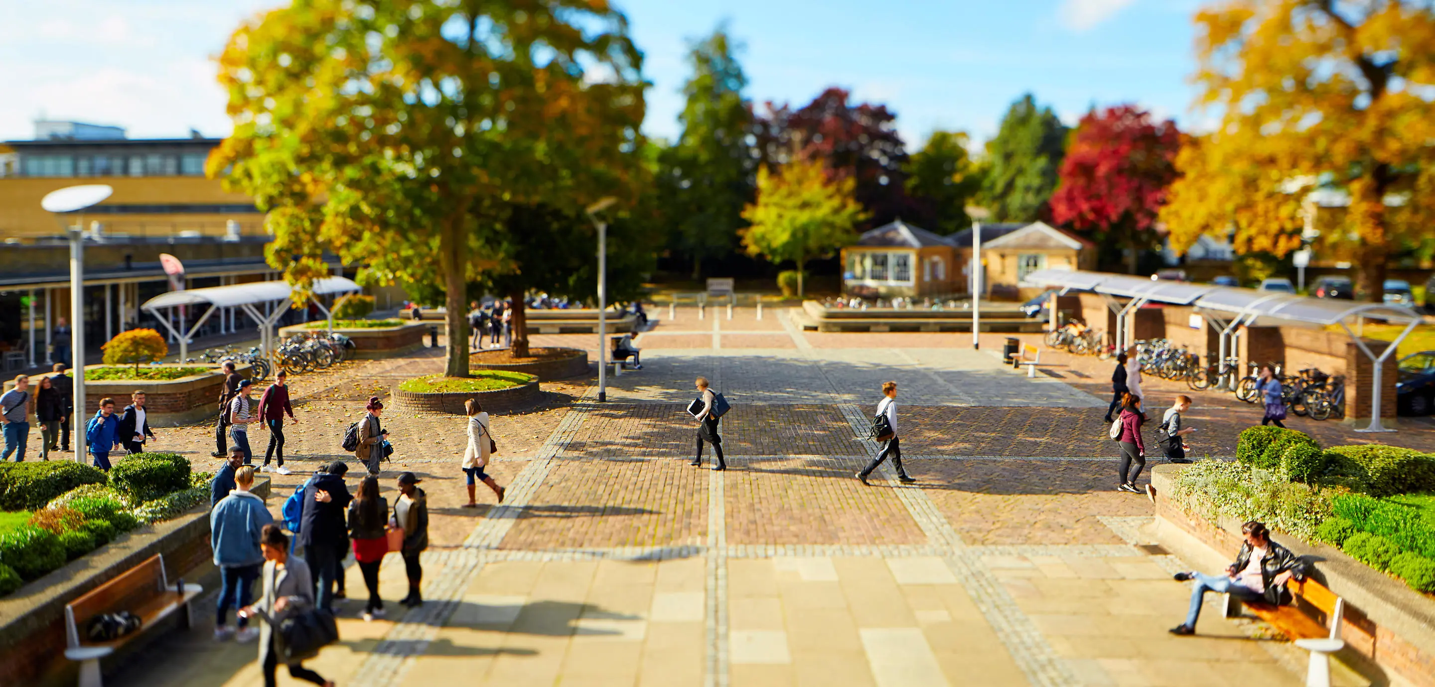 piazza1
