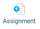 Moodle assignment icon