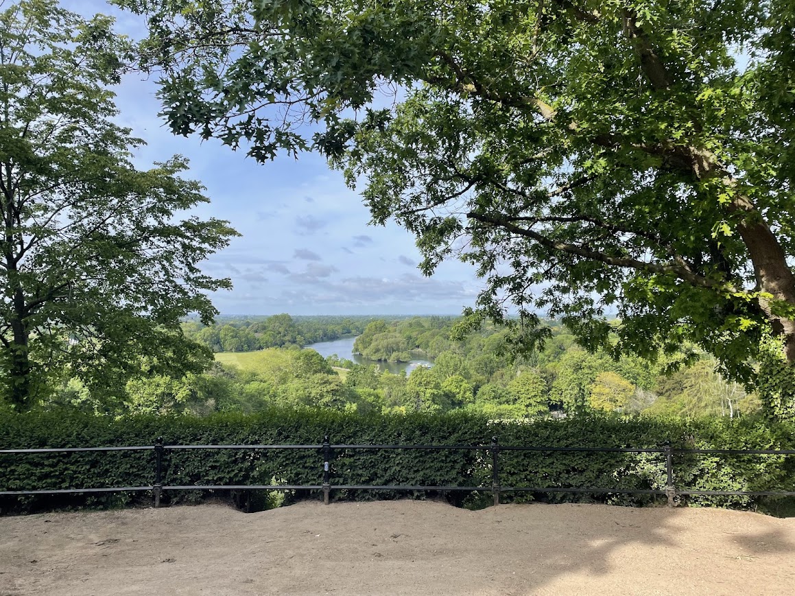 A panoramic view of the Thames and surrounding greenery from Richmond Hill.