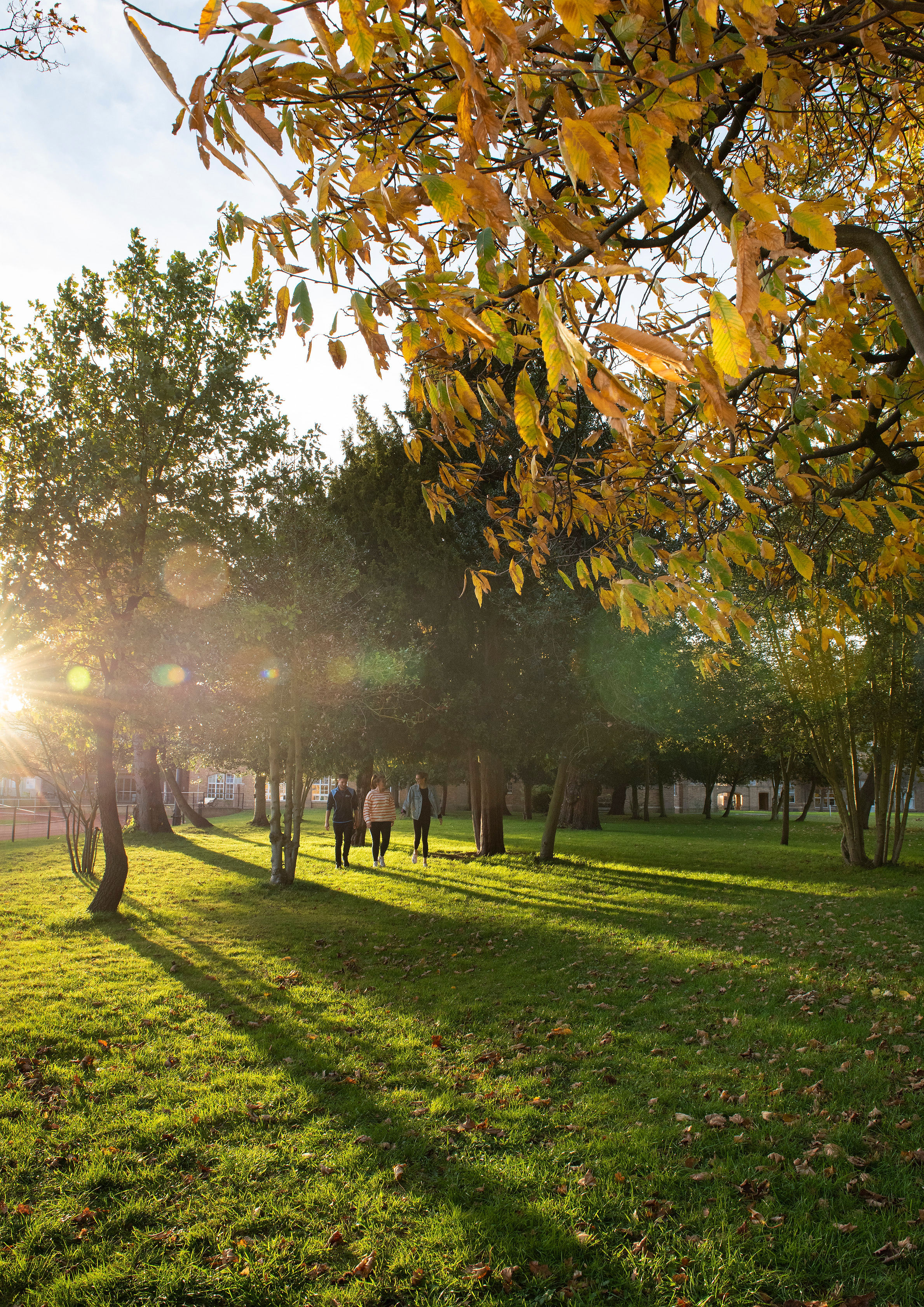 campus green space with sunlight