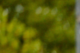 Psychology of Sport and Performance