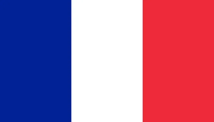 french-flag-large