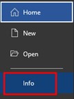 Screenshot showing Info on a word document