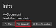 Screenshot showing how to copy word path in info section