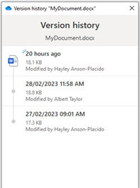 Screenshot showing version history