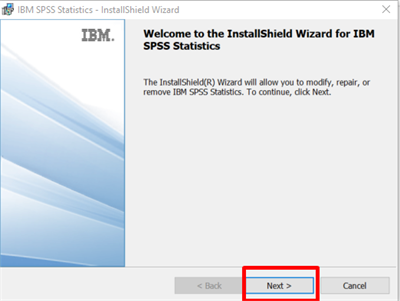 SPSS WIZARD