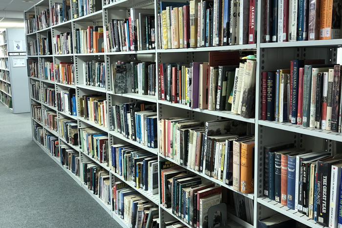 Library Shelves Photo
