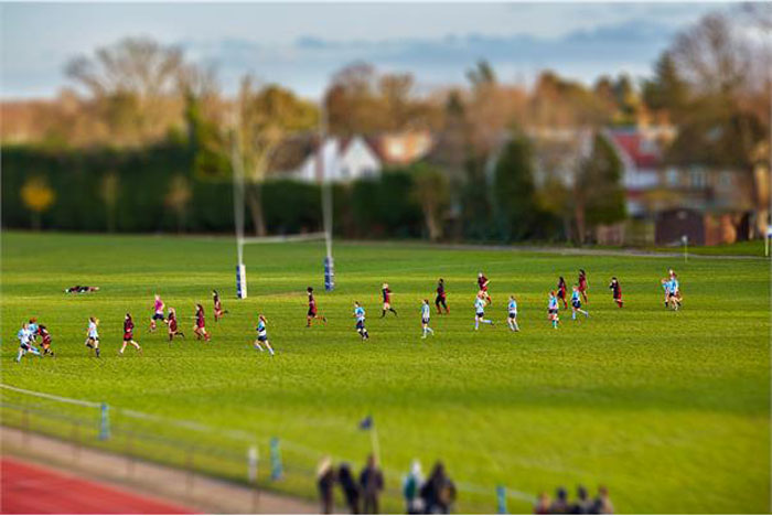 rugby-pitch