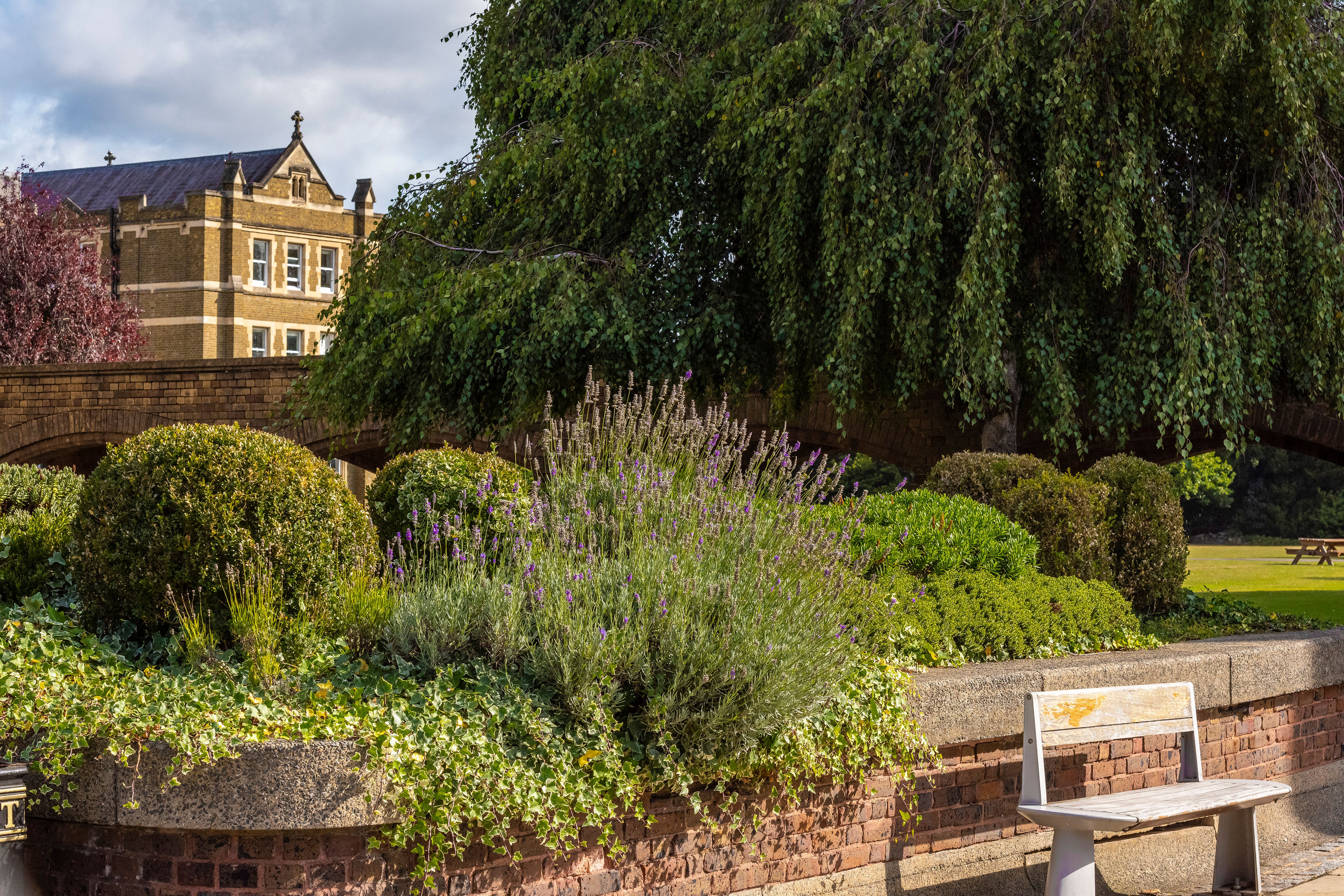 Image of a green space within the St Mary's campus