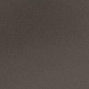 Saleh Faghihi headshot