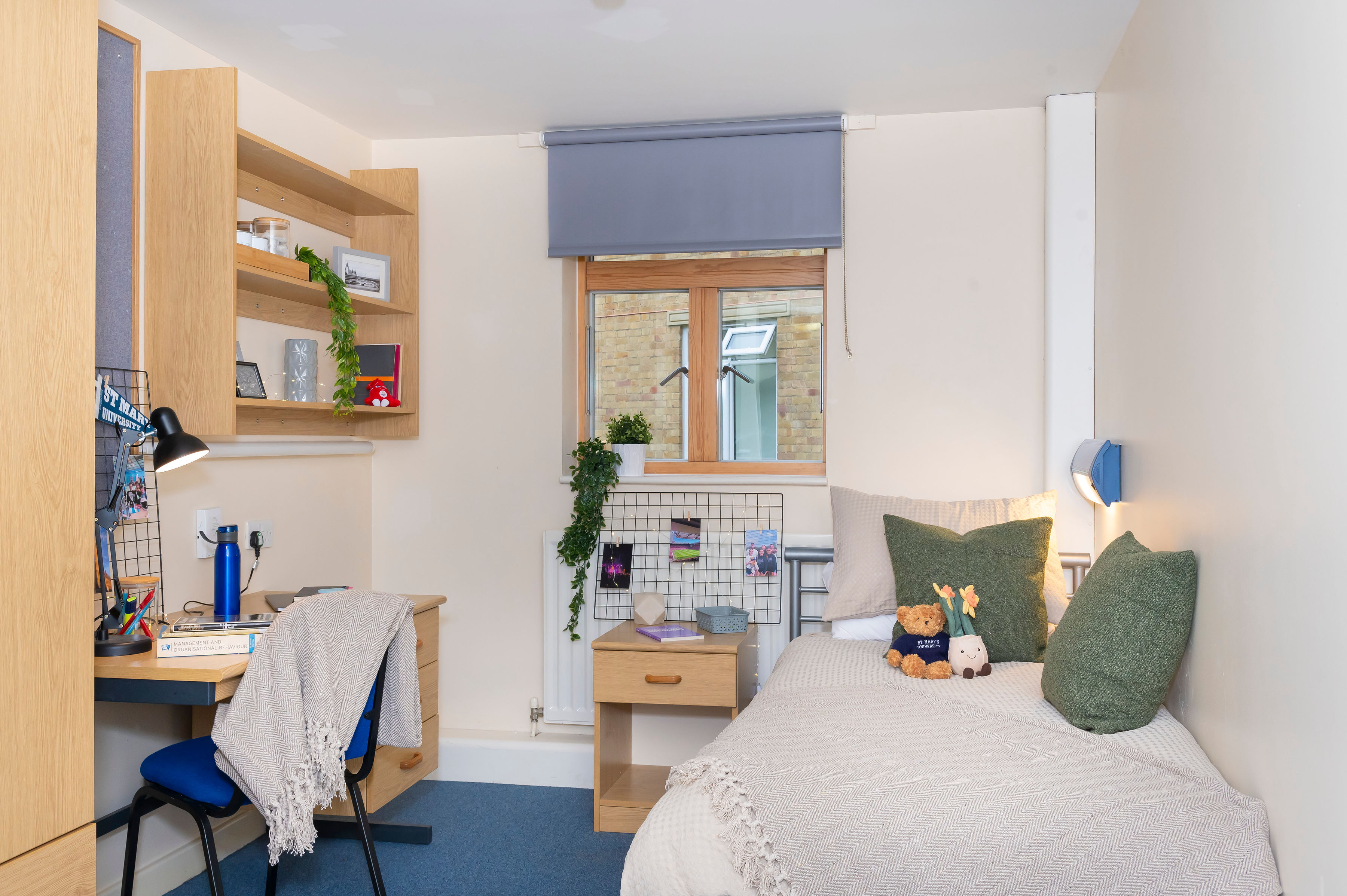 Compact student dorm room with a single bed, desk, shelves, and window, decorated with books, plants, and cushions.