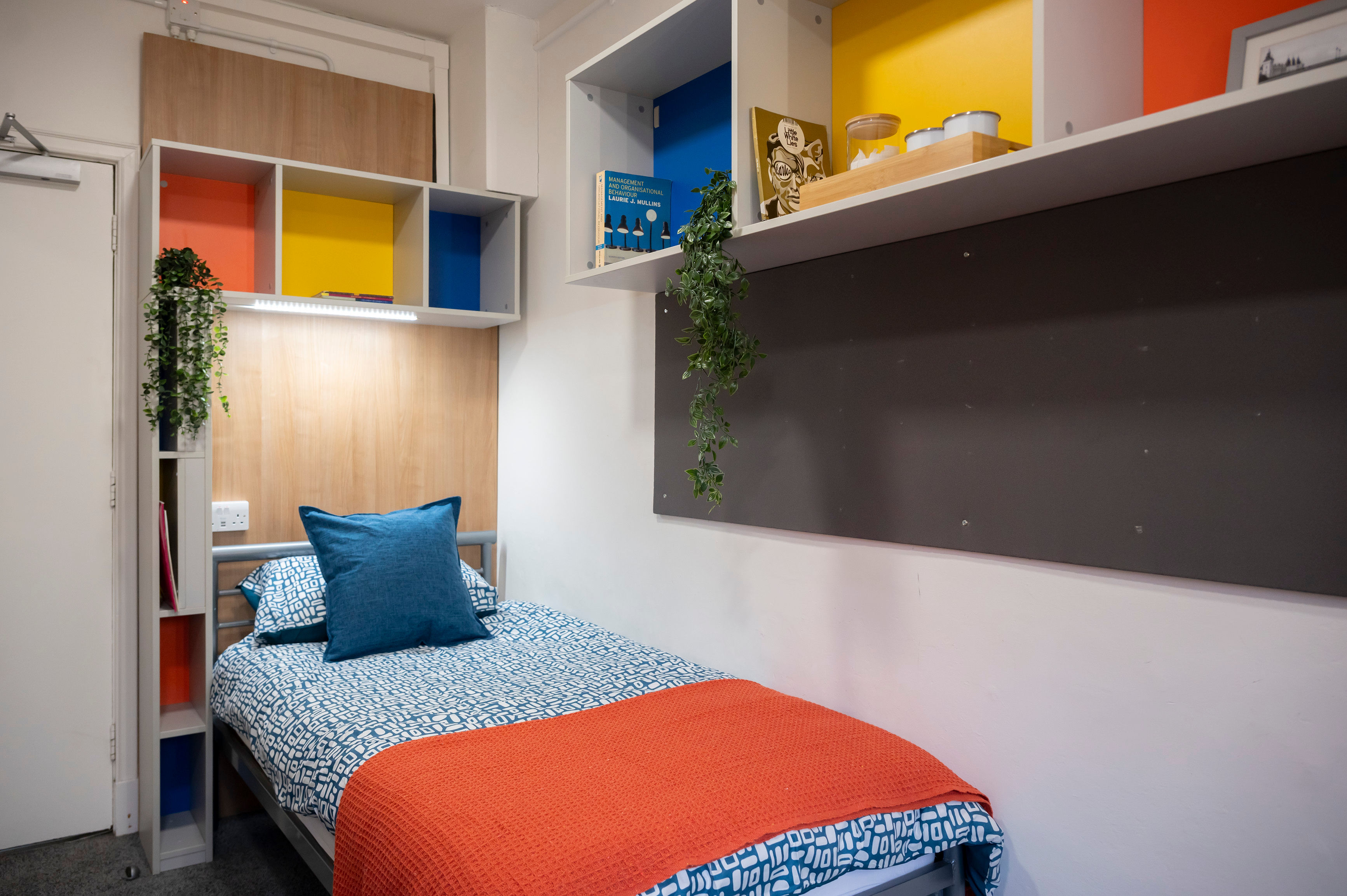 Small, modern bedroom with a single bed, blue and orange bedding, colorful wall shelves, and a potted plant on the shelf.